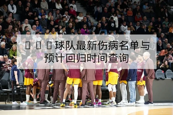 NBA球队最新伤病名单与预计回归时间查询
